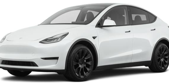 TESLA MODEL Y 2020 5YJYGDEE6LF026599 image